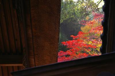 野火止用水を歩く（平林寺の紅葉）