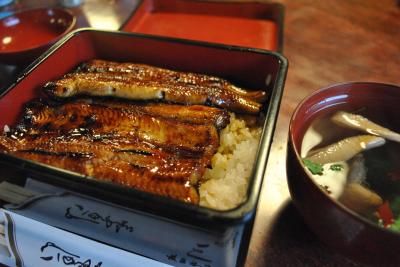 成田へ「焼きそば」と「うなぎ」を食べに、行ってみる。ついでに成田空港が見えるホテルに宿泊