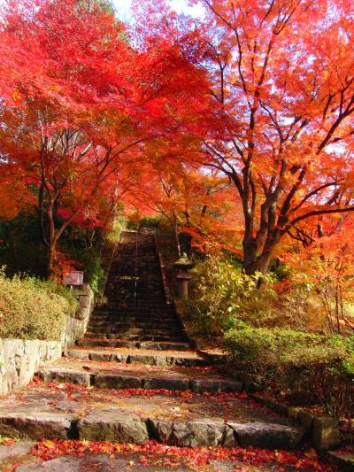 静寂の中でのんびり紅葉を ～ 久安寺 ～