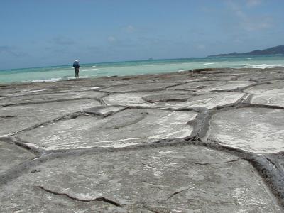 沖縄　久米島２０００年　ダイビング