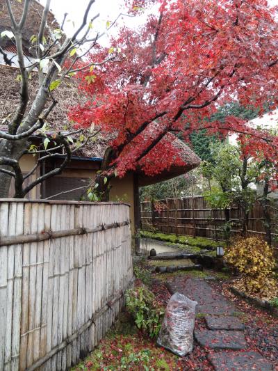 ２０１１・初冬・岐阜市郊外の素敵な鰻屋さんで思いがけない紅葉狩り＆大矢田もみじ狩り