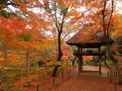 両足寺(山口市）の紅葉～つばさがモデルに！＼(-o-)／～