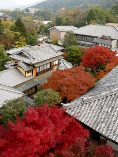 京都　紅葉めぐり ② (高台寺・圓徳院・祇園閣・泉涌寺・曼殊院ライトアップ)