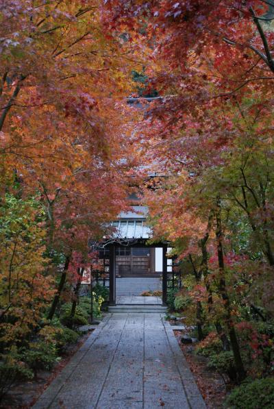 古都鎌倉の紅葉を見に行こう
