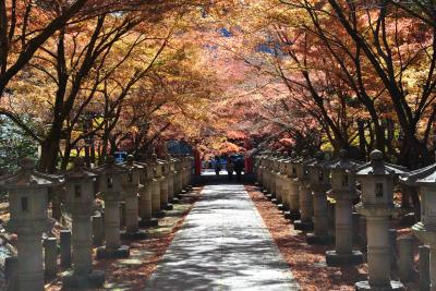 秋の丹波で紅葉狩り