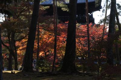 ２０１１京都紅葉大原・南禅寺