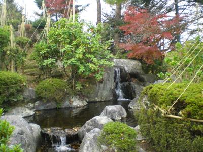 2011秋、紅葉狩り（*^_^*）西山公園山頂庭園in鯖江