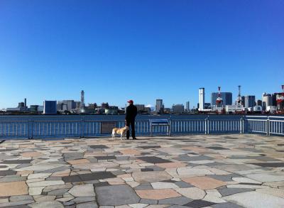 富士を見た台場だった。