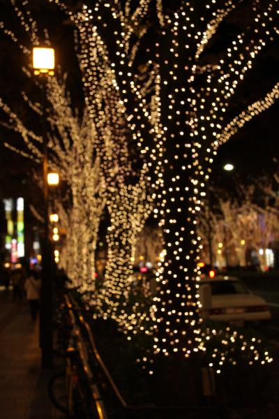 師走の新宿と表参道のイルミネーション　 Shinjyuku year-end and illumination of Omotesando