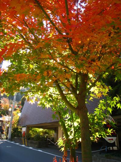 箱根湯本富士屋ホテルの日帰りプラン＆紅葉の旅