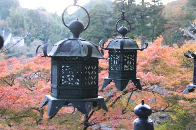 ■大和万葉の里　明日香を行く　＜奈良県＞