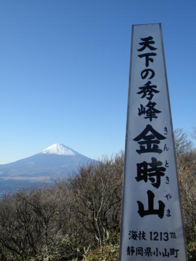 メタボ予防はじめました。　『第２９回　今年も来たよ！金時山。』