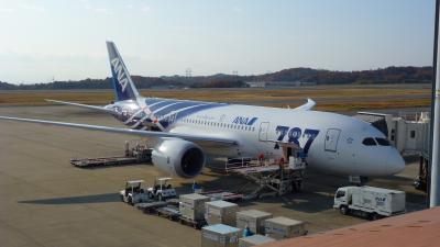 全日空 世界初就航 ボーイング７８７－８ 初搭乗【岡山～羽田編】（２０１１年１２月）