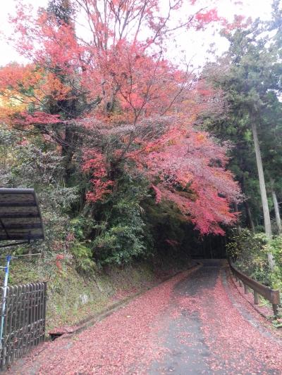 紅葉絶景の延命寺