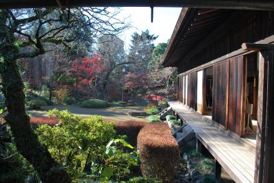 川越大師 喜多院～紅葉はもう終わっていた～