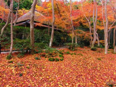 嵐山の紅葉めぐり in 2011