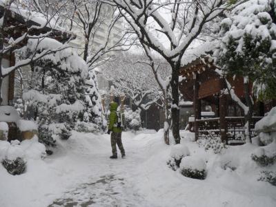 2010年1月　ソウルの旅2