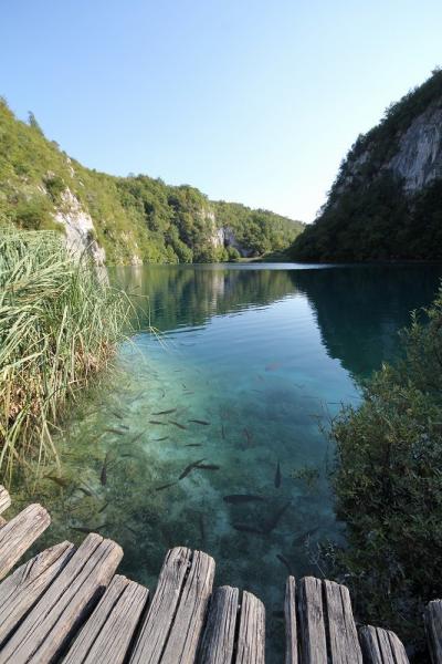 ハリー、中欧の旅・2011-⑤プリトヴィツェ湖群国立公園/クロアチア