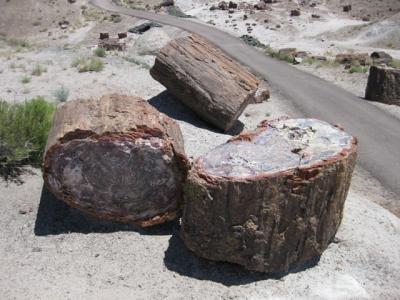 Petrified Forest National Park & Meteo Crater