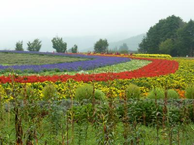 ９月　雨の富良野・美瑛　ぷち旅（食旅）