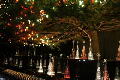 オズモール おしゃれな空間×コース料理×飲み放題付き で行くホテル西洋銀座「アトーレ カフェ」でのお食事と銀座のクリスマスイルミネーション