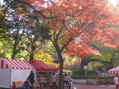 上野の森で初めまして☆かなり楽しめた上野動物園と予想外の紅葉♪