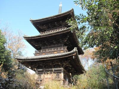 2011年師走　曹源寺の三重塔