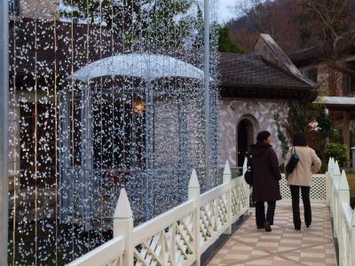 バスツアーで　初冬の箱根　相模湖イルミー３　箱根ガラスの森美術館