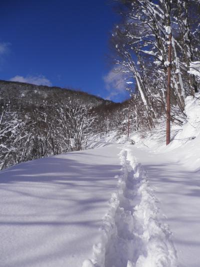 ～山歩き～　雪の鎌池へ　１度目雪無く、２度目は初ラッセル、３度目は池の上を。