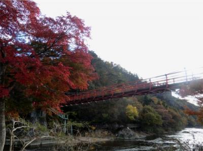 2011紅葉狩り3 茨城県北紅葉さがし