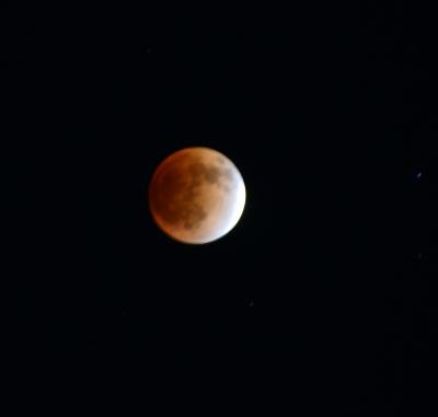 冬の夜空の天文ショー　自宅の庭先から見上げた赤い月