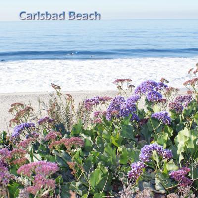 ２０１１　Carlsbad Beach　　　カールスバッド　ビーチ