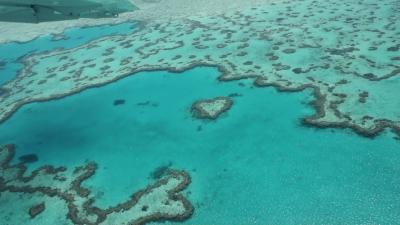 楽しんだぜ！！　２０１１　オーストラリア　『ハミルトン島・ドリームツアー♪水上飛行機で空からハートリーフを見て感動♪♪』　ＩＮ　ハミルトン島