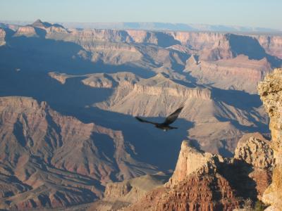 ギャンブル初心者がフリーダムに楽しむ!ラスベガス+大自然4泊6日 #5 ~グランドキャニオン~