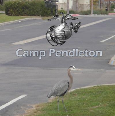 ２０１１　Camp Pendleton MCB　　　キャンプ　ペンドルトン海兵隊基地