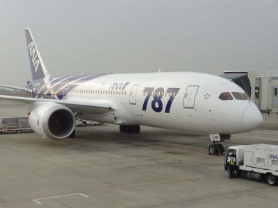 2011年11月　787で行く岡山・広島の旅～前編　羽田→岡山～