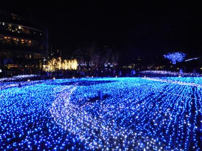 クリスマスイルミネーション~ご近所めぐり