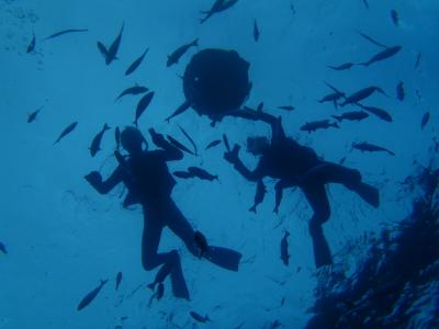 冬でも寒くても子連れでもリゾートできる!冬の沖縄は穴場です!ルネッサンス泊、かりゆし泊