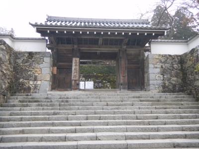 出張中の息抜き３