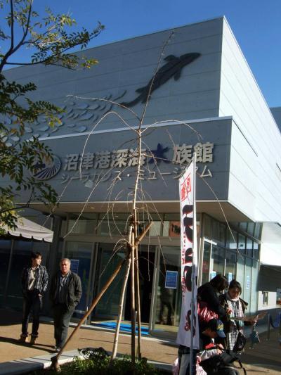 自転車でウロウロ…=沼津港深海水族館に行って来ました=