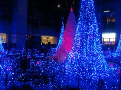2011 Winter　In　TOKYO 　Illuminations.