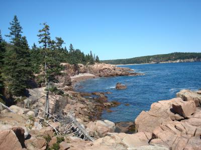 美しい街並みにうっとり・ロブスターに舌鼓　ニューイングランドカナダクルーズ　5日目　メイン州　バーハーバー 　まさに美しい風景とおいしいロブスター　どちらも楽しめるステキなところでした。