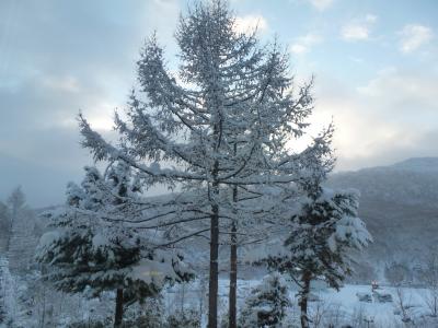 シーズンイン志賀高原（でも仕事）