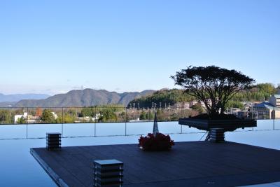 しんさん・さきぞう いつもの有馬温泉に連れて行かれる