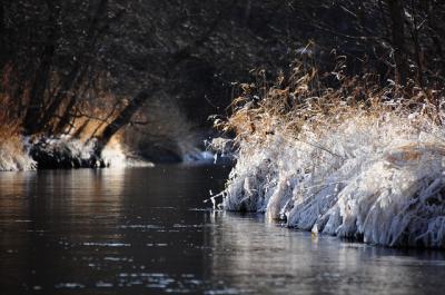 初冬の道東　樹氷の釧路川源流でカヌー