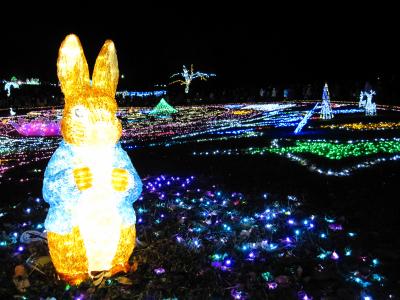 東京・昭和記念公園　イルミネーション２０１１