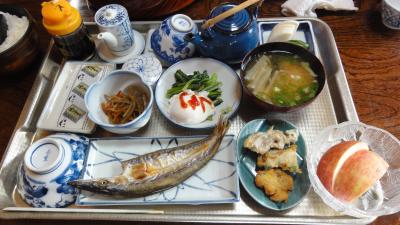 箱根の民宿からすすき散策　さくらい荘