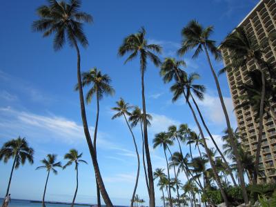 ゆっくりのんびりハワイ=なんと7年ぶり