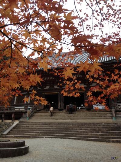 京都　高雄の秋模様