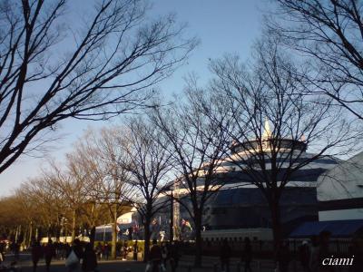 コルテオに釘付け☆